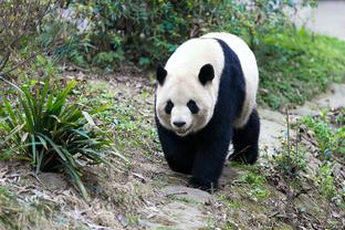 利拉德：为能在关键时刻承担责任而自豪 若表现不佳我会更加无惧